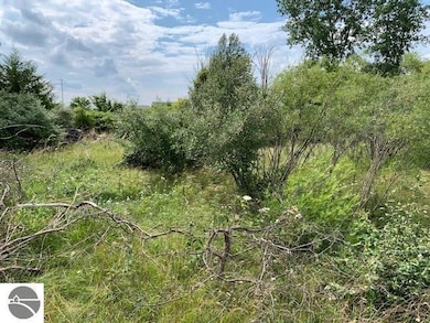 1465 Wright Ave, Alma, MI 48801 - photo 4