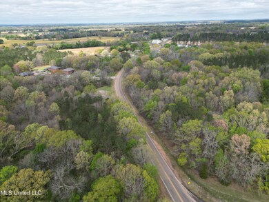 3591 U S 51, Madison, MS 39110 - photo 5