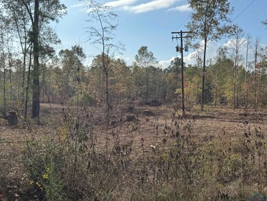 Lot 3 TBD County Road 4108, Henderson, TX 75654 - photo 4