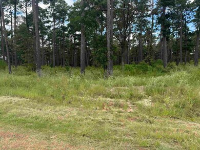 030 Private Road 6026 unit Tract 1-30, Brookeland, TX 75931 - photo 6