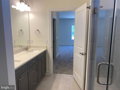 27015 Whistling Duck Way, Milton, DE 19968 - photo 4