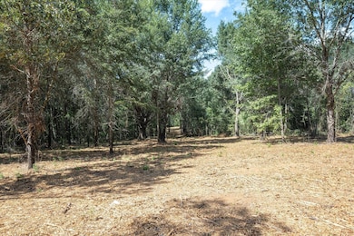 00 Hwy 69 Cr 484, Mineola, TX 75773 - photo 5