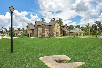 27818 Golden Oak Chase Ct, Spring, TX 77386 - photo 2