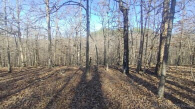 464200 Acorn Ridge, Proctor, OK 74457 - photo 5