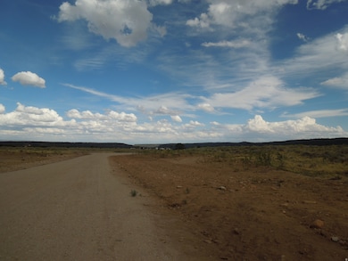 View of dirt / gravel road with a rural view
