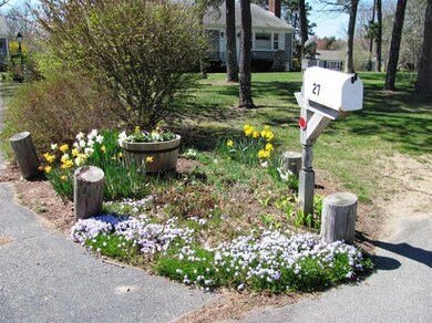 Additional Photo