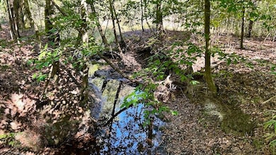 0 Lloyd Mill Rd unit LotWP001, Andalusia, AL 36421 - photo 6