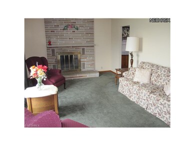 Living Room Features Woodburning Fireplace,  Carpe