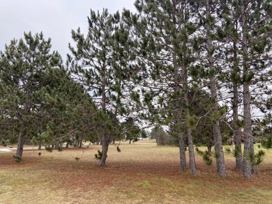 0 Robinson St unit 201816502, Vanderbilt, MI 49795 - photo 3