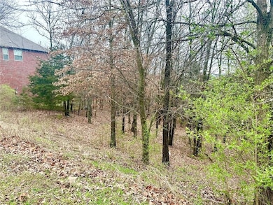 189 N Skyview Ln, Fayetteville, AR 72701 - photo 3