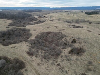 DJI_0239