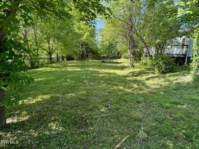 309 Roosevelt St, Johnson City, TN 37601 - photo 2