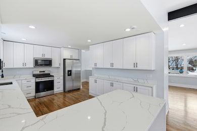 134 Lunt Ave, Schaumburg, IL 60193 - photo 4