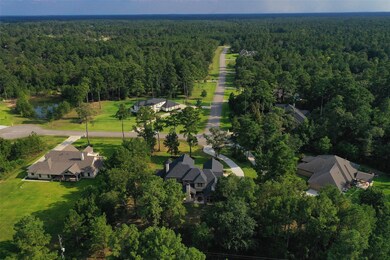 29013 Village Ridge Ct, Magnolia, TX 77355 - photo 4