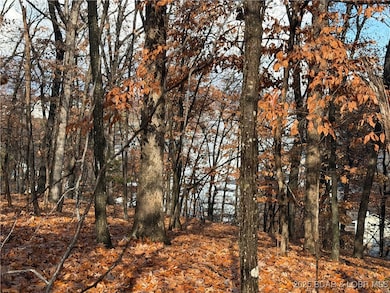 Lot 46 Carol Rd, Pawhuska Township, MO 65049 - photo 2