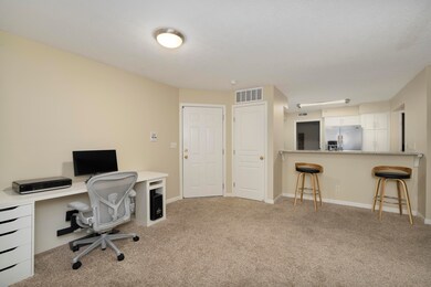 Vina Vista-9