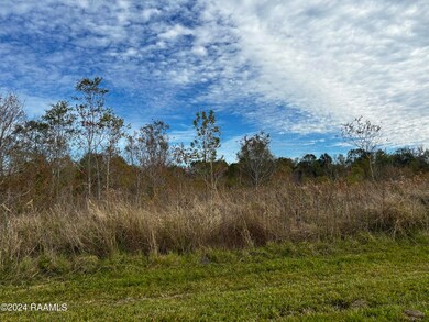 IMG_3196