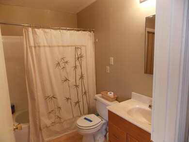 2073 thousand pines 009