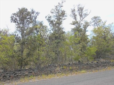 0 Paradise Pkwy unit 258144, Ocean View, HI 96737 - photo 2