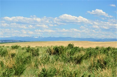 DSC_0306 (2)