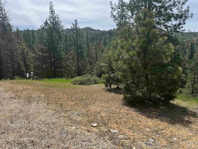 TBD Napias Lot 21, Boise, ID 83716 - photo 2