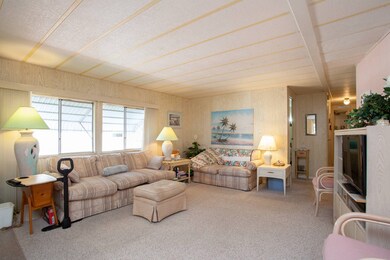 2001 83rd Ave N unit 1129, Saint Petersburg, FL 33702 - photo 7