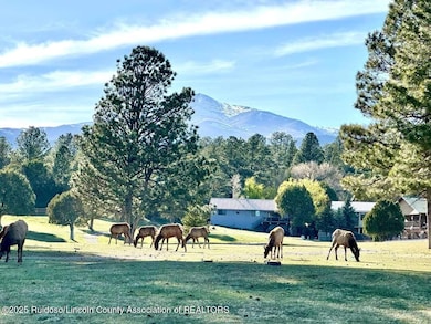 121 Niblic Ct, Ruidoso, NM 88345 - photo 7