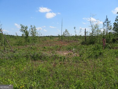 0 Ebenezer Rd, Ellaville, GA 31806 - photo 6