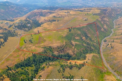 TBD-17 Acres Beaverslide Rd, Kamiah, ID 83536 - photo 2