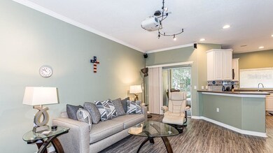 9905 Serona Bluff Way, Tampa, FL 33619 - photo 4