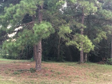 0 Hickory Knoll unit 90850686, Cleveland, TX 77328 - photo 6