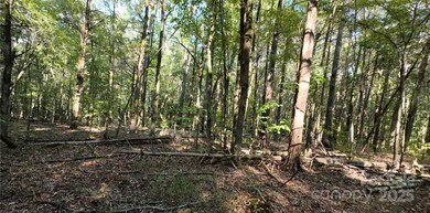 Lot 3943 Walker Road Unlimited Potential, Rock Hill, SC 29730 - photo 7