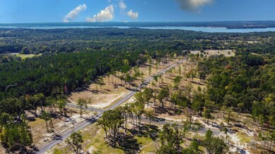 15537 Aniston Ln, Flint, TX 75762 - photo 6