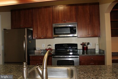 68 Regatta Bay Ct unit 307, Annapolis, MD 21401 - photo 7