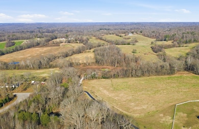 2535 Toler Ct, Woodlawn, TN 37191 - photo 5