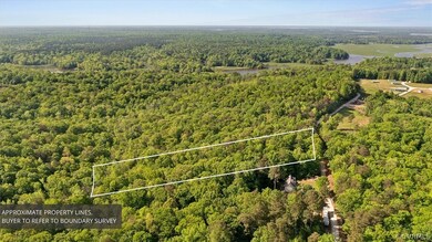 View of bird's eye view