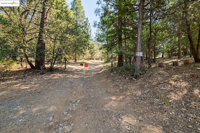 unlisted-address, Twain Harte, CA 95383 - photo 2