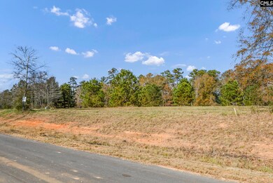 0 Adventure Bay unit 623054, Prosperity, SC 29127 - photo 3