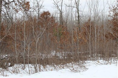 0 W Minerva Dam Rd unit 1539971, Swiss, WI 54830 - photo 3