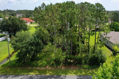 Matanzas Woods Neighborhood!
