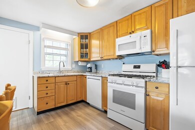 41 Hawthorne St unit 2, Roslindale, MA 02131 - photo 6