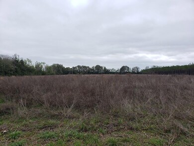 0 266th St, O'Brien, FL 32071 - photo 2