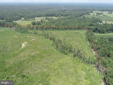 0 Bremo Road (Tract: Jr Barnes Dillion), Bremo Bluff, VA 23022 - photo 3