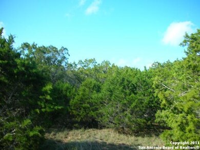 23019 Central Prairie, Cross Mountain, TX 78255 - photo 2