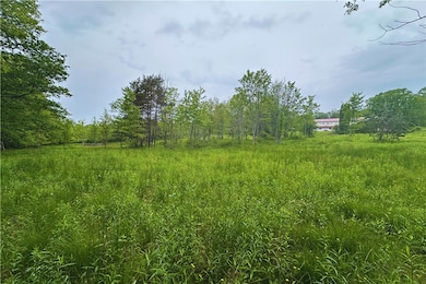 View From Bottom Corner of Property