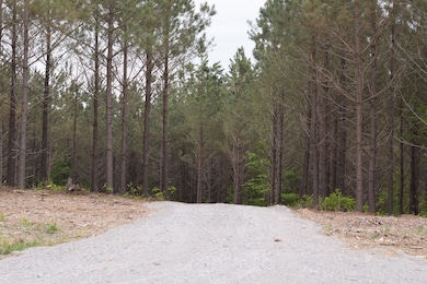 19 Chestnut Dr, Linden, TN 37096 - photo 2