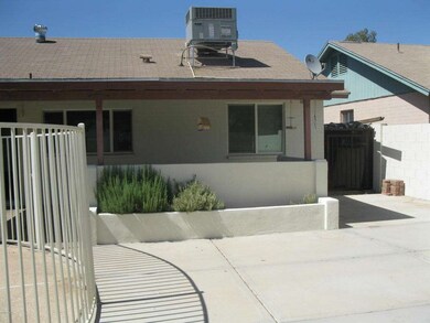 Big backyard & stucco planters