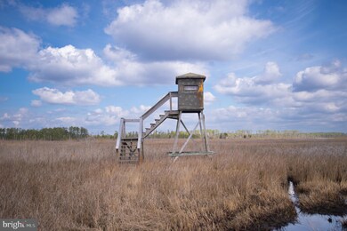 0 Andrews Rd unit MDDO2004556, Crapo, MD 21626 - photo 3