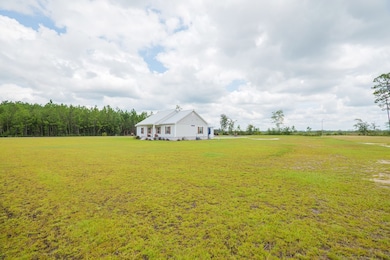 31 Conine Cir, Lakeland, GA 31635 - photo 3