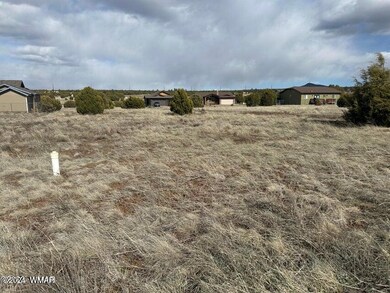 1000 S Ridgecreek Ln, Show Low, AZ 85901 - photo 2